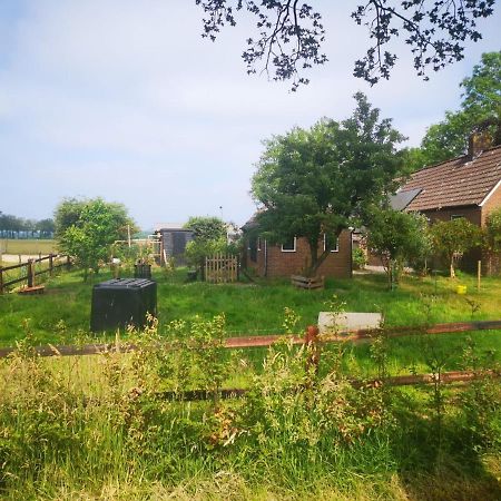 Trekkershut - Tiny House - Hikers Cottage Wijster 외부 사진